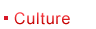 culture